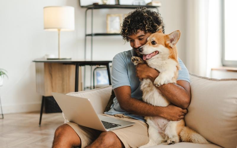 a person and a dog on a couch with a laptop