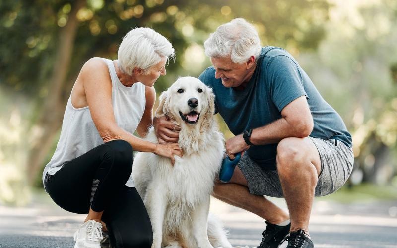 a man and woman petting a dog
